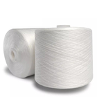 20/2 20/3 20/4 20/6 Blanc brut 100% fil de polyester étiré