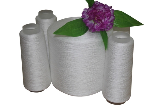 20/3 30/2 40/2 100% fil de polyester enroulé à l'anneau fil de polyester blanc brut fil de polyester tordu