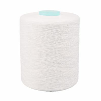 Fil de polyester à âme filée 100% 20s/2 30s/2 40s/2 60/2 Blanc cru en stock