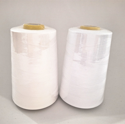 20/3 20/4 20/6 3000 mètres Couleurs 100% polyester fil de couture sac fil de fermeture