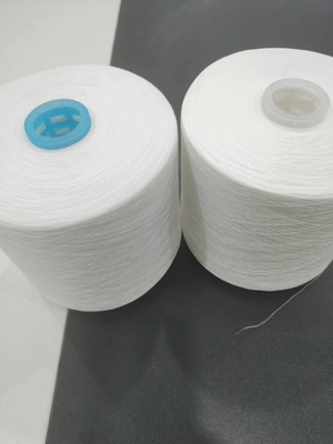 Livraison rapide 40/2 fils de polyester en spons pour fils de couture en polyester