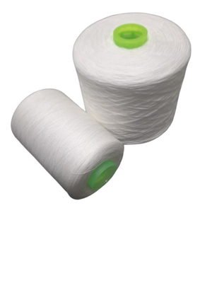 le polyester 100% de 20S 30S 40S 50S 60S a tourné le fil avec le tube de teinture