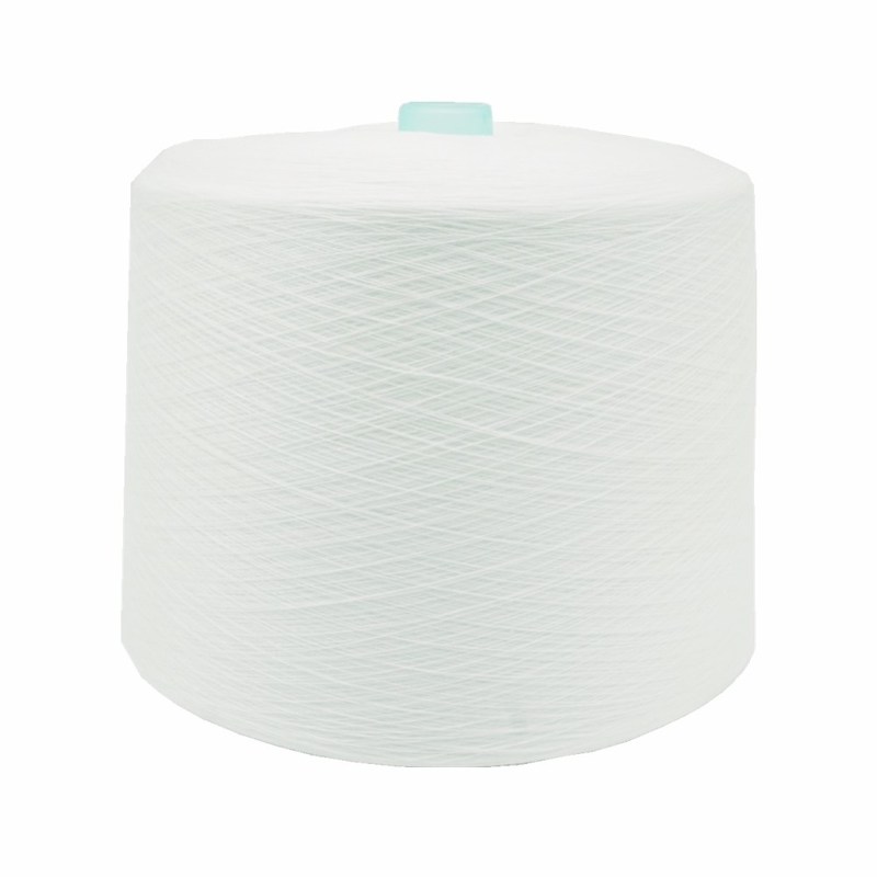 20/2 30/2 20/3 30/3 40/2 50/2 100% fils tournés de polyester pour le fil de couture