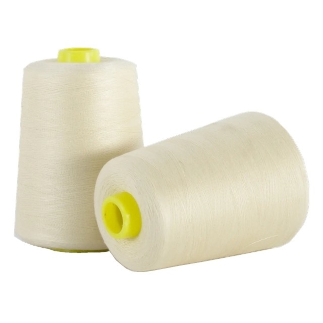 40/2 50/2 20/2 Fil de couture teinté en polyester 100% en spatule avec cône en plastique